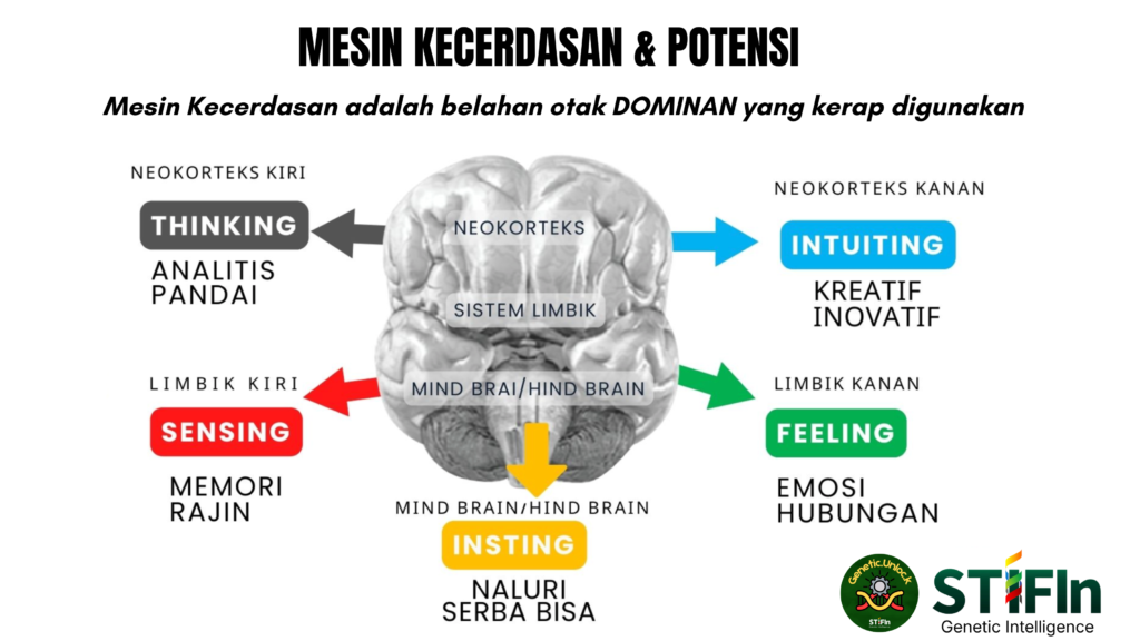 gambar belahan otak (1)